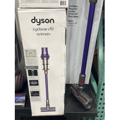 PROMO 03/05 Cyclone V10 animal + 1