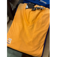 camiseta manga curta gola V 5