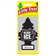 Little Trees - Black Ice - PACK 24