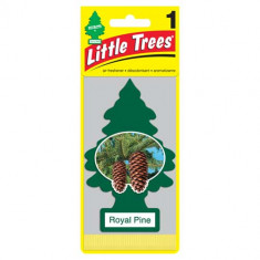 Little Trees - Royal Pine - Pacote com 24