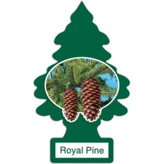 Little Tree - Royal Pine - Pacote com 24
