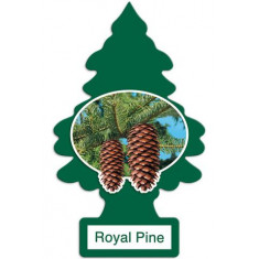 Little Trees - Royal Pine - Pacote com 24