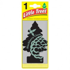 Little Tree - Blackberry Clove - Pacote com 24