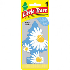 Little Trees - Daisy Fields - Pacote com 24
