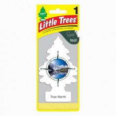 Little Trees - True North - PACK 24
