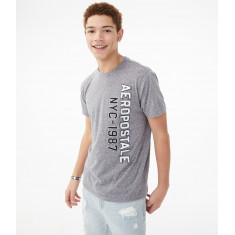Camiseta Masculina - Aeropostale Tamanho P
