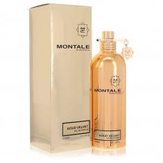 Eau De Parfum Spray Feminino - Montale - Montale Aoud Velvet - 100 ml
