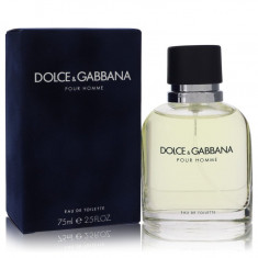 Eau De Toilette Spray Masculino - Dolce & Gabbana - Dolce & Gabbana - 75 ml