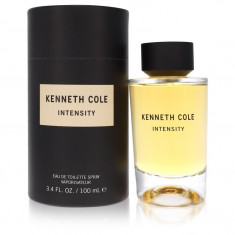 Eau De Toilette Spray (Unisex) Masculino - Kenneth Cole - Kenneth Cole Intensity - 100 ml