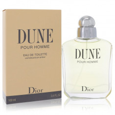 Eau De Toilette Spray Masculino - Christian Dior - Dune - 100 ml