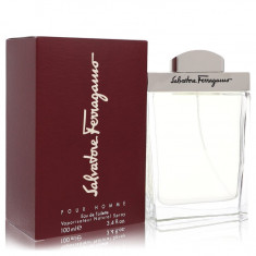 Eau De Toilette Spray Masculino - Salvatore Ferragamo - Salvatore Ferragamo - 100 ml