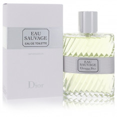 Eau De Toilette Spray Masculino - Christian Dior - Eau Sauvage - 100 ml