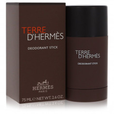 Deodorant Stick Masculino - Hermes - Terre D'hermes - 75 ml