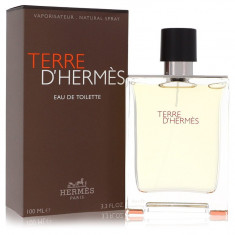 Eau De Toilette Spray Masculino - Hermes - Terre D'hermes - 100 ml