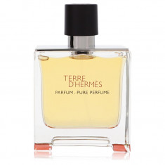 Pure Perfume Spray (Tester) Masculino - Hermes - Terre D'hermes - 75 ml