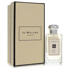 Cologne Spray (Unisex) Feminino - Jo Malone - Jo Malone Wild Bluebell - 100 ml