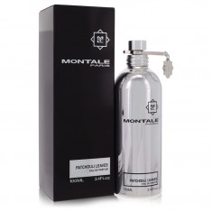 Eau De Parfum Spray (Unisex) Feminino - Montale - Montale Patchouli Leaves - 100 ml