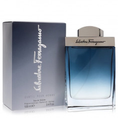 Eau De Toilette Spray Masculino - Salvatore Ferragamo - Subtil - 100 ml