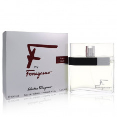 Eau De Toilette Spray Masculino - Salvatore Ferragamo - F - 100 ml