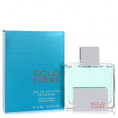 Eau De Cologne Spray Masculino - Loewe - Solo Intense - 75 ml