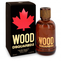 Eau De Toilette Spray Masculino - Dsquared2 - Dsquared2 Wood - 100 ml