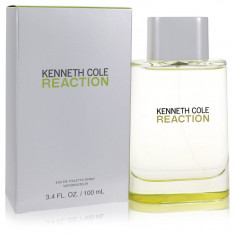 Eau De Toilette Spray Masculino - Kenneth Cole - Kenneth Cole Reaction - 100 ml