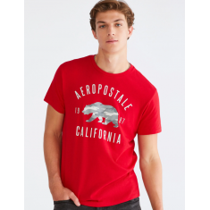 Camiseta Masculina Tam: P - Aeropostale (Estilo: 7179)