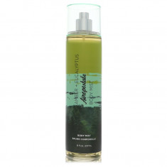 Body Mist Spray Feminino - Aeropostale - Aeropostale Amber & Eucalyptus - 240 ml