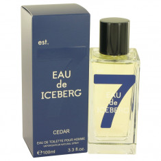 Eau De Toilette Spray Masculino - Iceberg - Eau De Iceberg Cedar - 100 ml