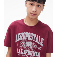 Camiseta Aeropostale Bordado de Urso California Tam: L/G Estilo: 92850952