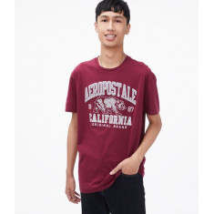 Camiseta Aeropostale Bordado de Urso California Tam: L/G Estilo: 92850952