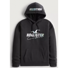 Moleton com Capuz Hollister Tam: S Estilo: 652515675