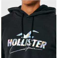 Moleton com Capuz Hollister Tam: S Estilo: 652515675