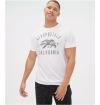 Camiseta Masc. Aeropostale - Tamanho M