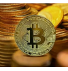 Gold Bitcoin w/ Protective Case NEW, Physical Gold Plated Collectible Bit Coin
