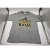 Camiseta Masculina Framingham State University - (Tam: L)
