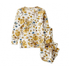 Conjunto 2 Peças - Carter's (Tam:4anos) Style 2N136810