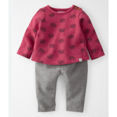 Conjunto Carters 2 Pecas - 12 Meses