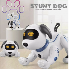Stunt Dog - Programming Stunt Smart Dog