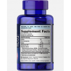 Puritans Pride - Double Strength Glucosamine Chondroitin MSM - 60 Caps - Exp 07/2027