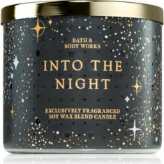 Bath & Body Works - Candle - Into The Night - 411gm
